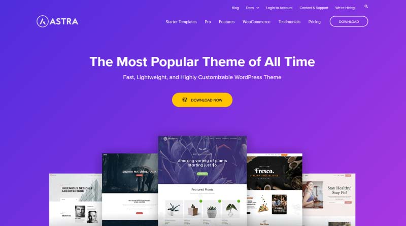 Astra WordPress Theme