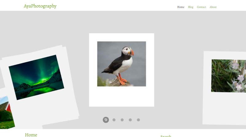 ayaphotography wordpress theme