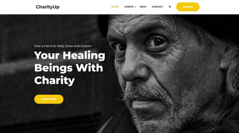 charity give wordpress theme