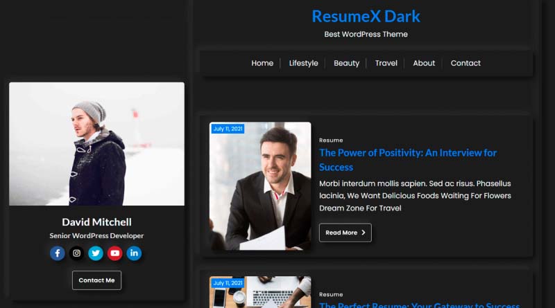 resumex dark wordpress theme