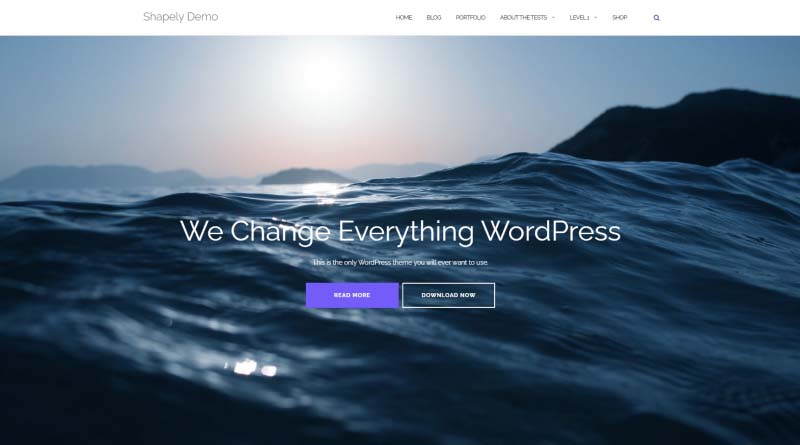 Shapely WordPress Theme