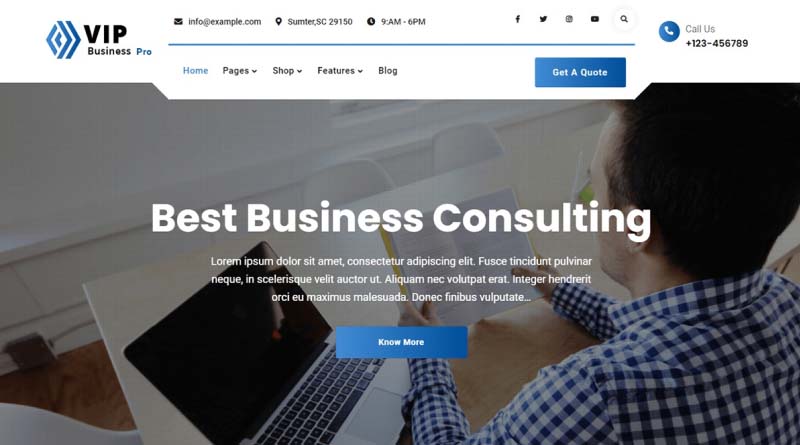 VIP Business WordPress Theme