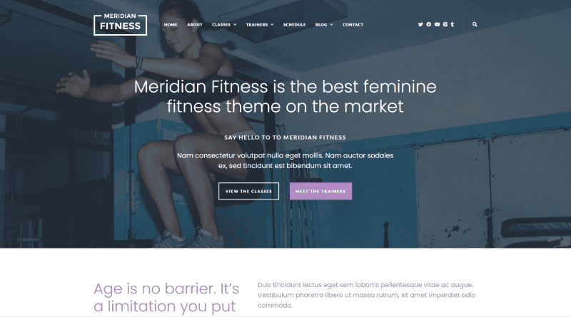 meridian fitness wordpress fitness themes