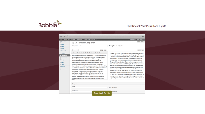 babble wordpress translation plugins