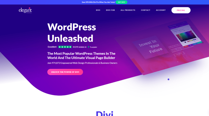 Divi Black Friday Themes