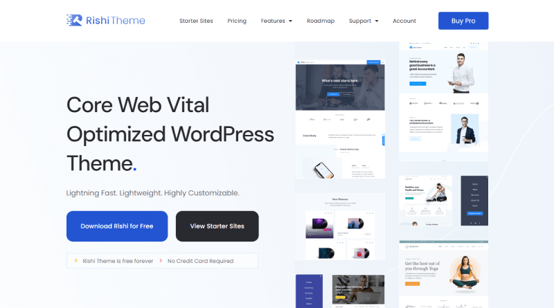 Rishi WordPress Elementor Themes