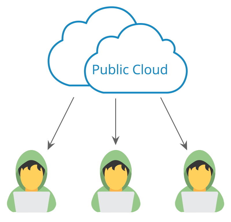 Public Cloud Computing