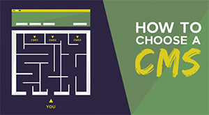 All You Need To Know About The Art Of Selecting The Right CMS | MilesWeb